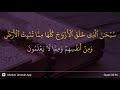 Ya Sin Ayat 36