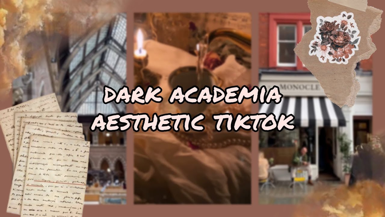 the best dark academia aesthetics TikTok #2 - YouTube