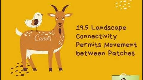 Chapter 19: Landscape Dynamics (G4)