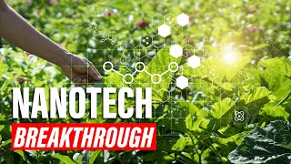 Nanotechnology in Environmental Protection | InnoVision Tech