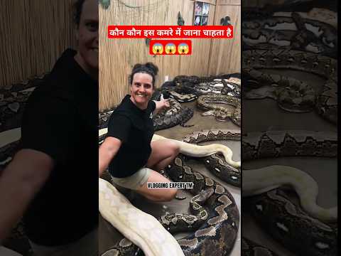 DANGEROUS SNAKES IN