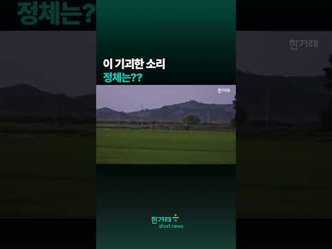 <strong>강화도의</strong> 이 기괴한 소리... 정체는??#shorts