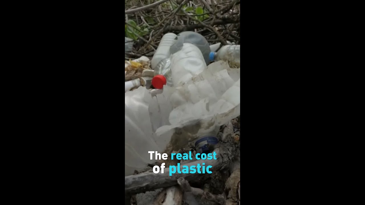 The real cost of plastic