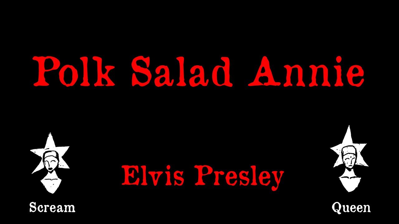 Elvis Presley - Polk Salad Annie - Karaoke - YouTube