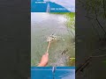 It's really too simple #fishing#fish #fishingvideo