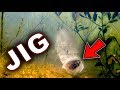 Underwater Bass Strikes!!! Jigs and Swimbaits - Crazy Footage!!!