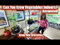 Can You Grow Vegetables Indoors? Answered! 🍅🥬 / Grow Your Groceries