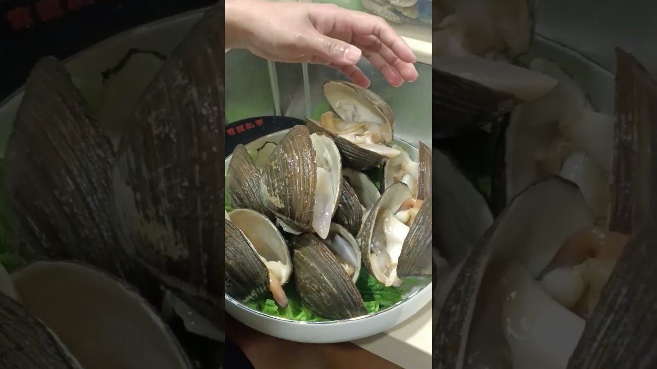 Ocean Quohog Clam Plating 