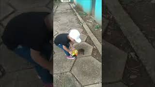 Squirrel Snatches Cookie From Child
