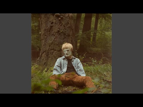 Dem, Vi Plejede At Være