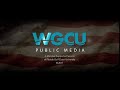 Wgcu public media 2017