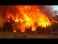 حريق قرية الراشدة فى الداخلة الوادى الجديد يلتهم ما يقرب من 40 فدان أشجار نخيل وفاكهة
