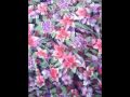 Japanese Chiyogami Paper 千代紙 和紙