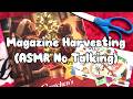 Magazine Harvesting | ASMR Cutting Sounds (No Talking)