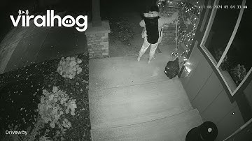 Security Camera Catches Apparent Theft of Halloween Decorations || ViralHog