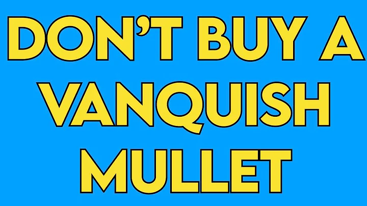Crawler Canyon Editorial Corner:  Why should you never buy the Vanquish Mullet?