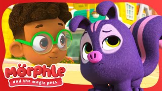 Help Me Find My Pet Clip  | Morphle and the Magic Pets | Available on Disney+ and Disney Jr #shorts by Moonbug Kids - Celebrating Diversity 6,243 views 1 month ago 2 minutes, 9 seconds
