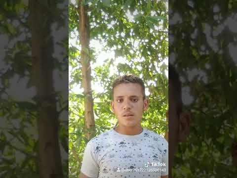 اغنيه البت اللي انا بعشقها