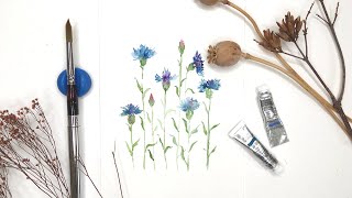 Corn Flower Watercolor Painting #Shorts