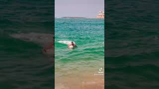 #shorts ولاعندك زهر انا سموني ولد ابحر نتي متخلعنيش انا كابر في لكورنيش jabtli jah