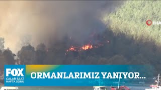Ormanlarımız Yanıyor... 31 Temmuz 2021 Çalar Saat Hafta Sonu