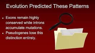 Evolution is REAL Science #6