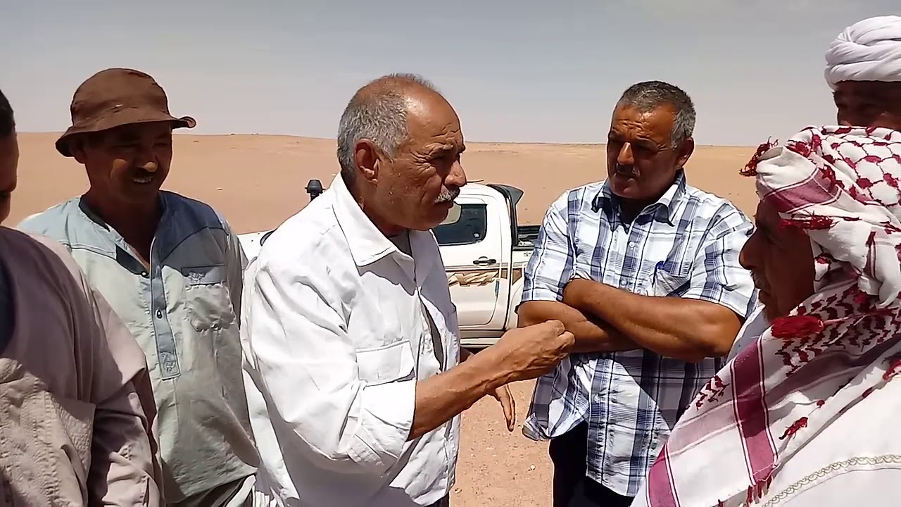 المنيعة  458 روبرتاج معاناات مربي الابل بالمنيعة مع ناهبي الاراضي الرعوية