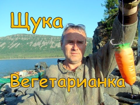 Щука вегетарианка 