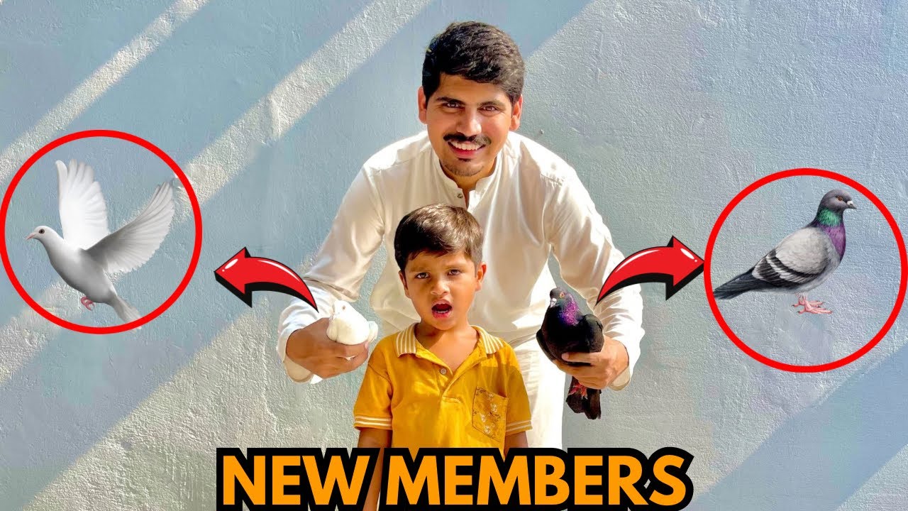 Shafay ke ek or demand poore kar de🤝 | AB Vlogs | Azeem Bhatti