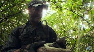 Boa Constrictor Dinner | Lone Target
