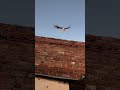 🔥🔥#pigeon #lover #shorts #viralreels #viralvideo #trending #ytshorts #happiness