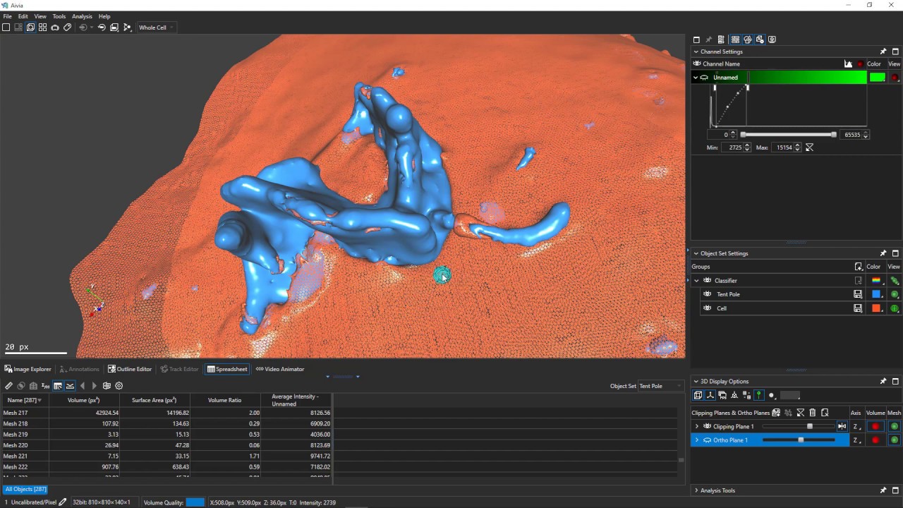 Parameter Free Image Segmentation