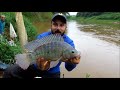 Muito peixe na nova ceva-Rio verde sul de Minas