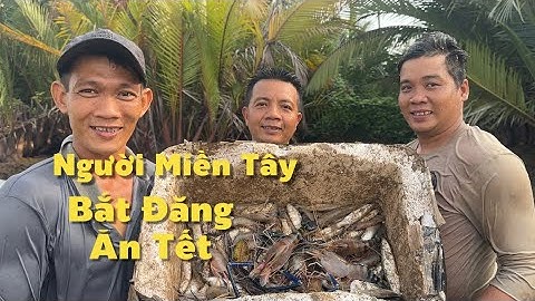 Người Miền Tây Đạp Đăng Mé Bắt Tôm Cá Ăn Tết | Cù Lao Dung Vlogs #927