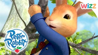 @OfficialPeterRabbit  Brave Bunnies | Wizz | Cartoons for Kids