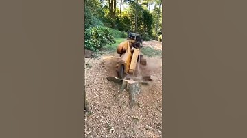 How to remove big tree roots II Super Root Cleaning Tricks II #shorts #youtubeshorts #woodworking