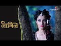 Naagin throwback  shivanya stops shesha from doing the tandav