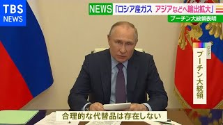 「欧州でロシア産ガスに代わるものない」プーチン氏 東方などへ輸出拡大を表明