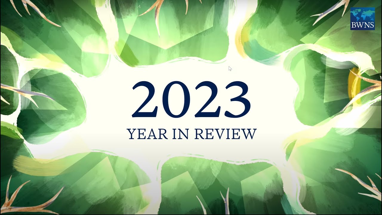 2023 Year in Review - YouTube