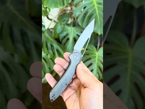 WE Knife Co Fornix Limited Titanium Framelock 20CV Folder 