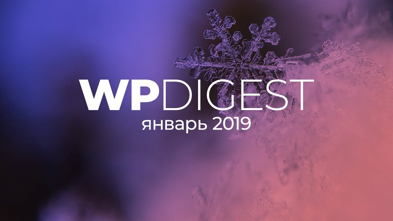 ⁣WP digest. Январь. Что было нового?