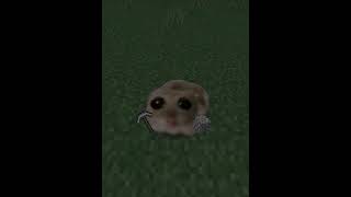 small hamster with big eyes minecraft