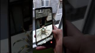ضع حيوانات 3D حقيقية في بيتك 🏙 بإستخدام الكاميرة 📱ممتع 😍 screenshot 2