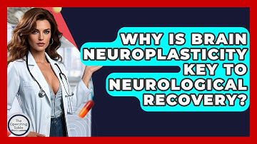 Why Is Brain Neuroplasticity Key To Neurological Recovery? - The Operating Table