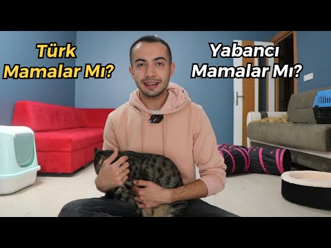 Türk Mamalar Mı?