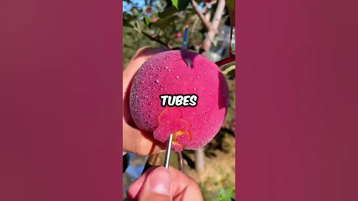 What's the most heartbreaking thing you've heard about yourself?