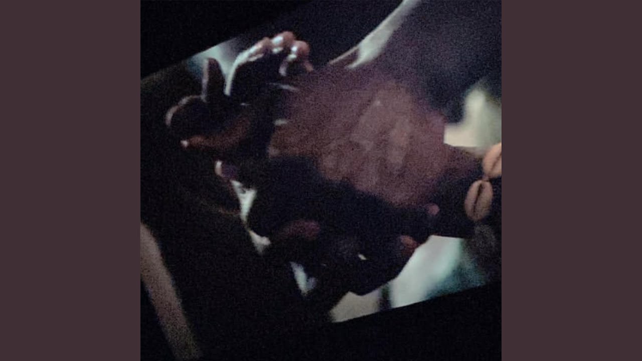 DONT LOOK A GIFT HORSE IN THE MOUTH