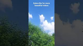 Clean & Clear Beautiful Sky