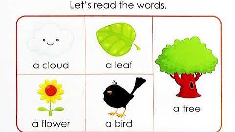 Midisaurus English Starter Unit 5 Words 