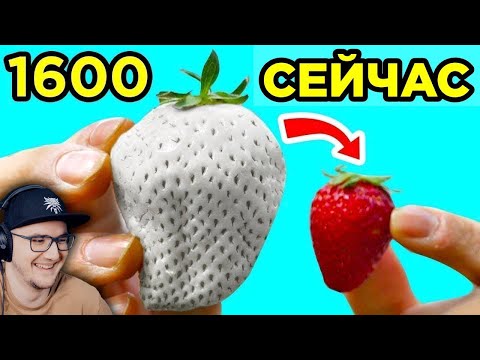 Видео: Еда, Которая Раньше Выглядела Иначе ► ВТФАКТ | Реакция